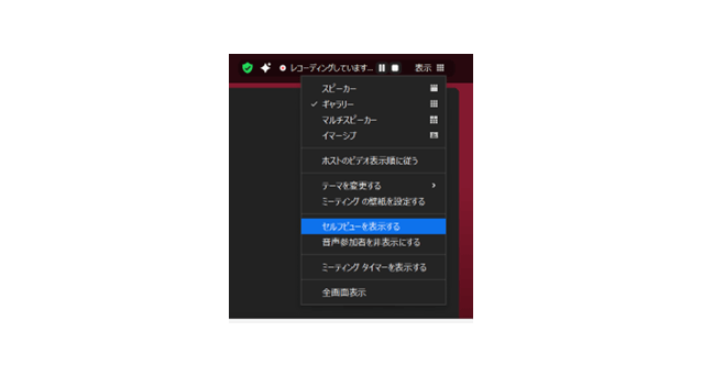 セルフビューの非表示